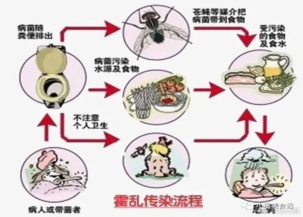 图片1.jpg