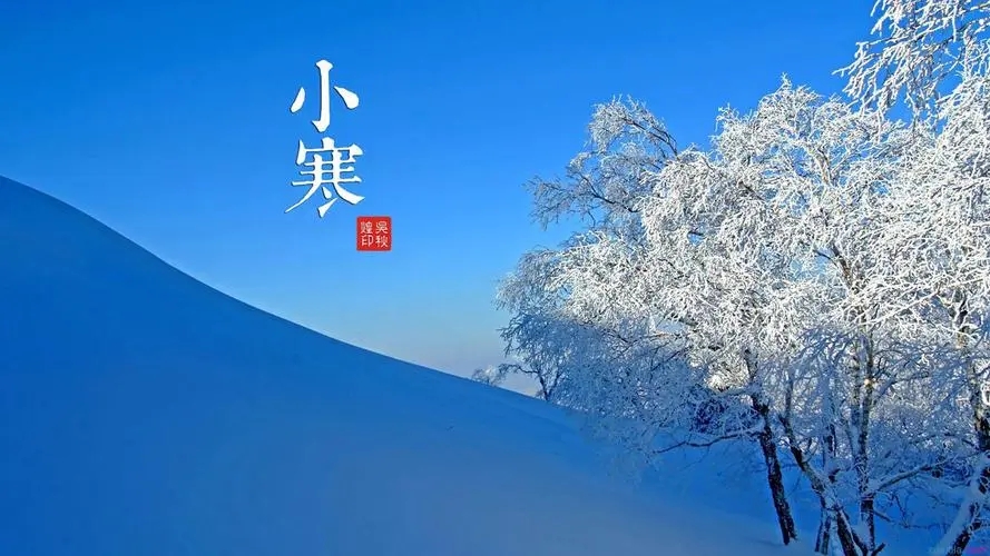 u=564262301,658581331&fm=253&fmt=auto&app=138&f=JPEG.webp.jpg